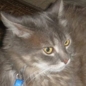 Meet your Posher, Jo